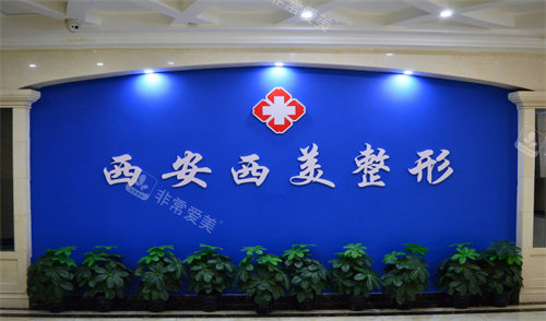 西安西美整形logo图 西安西美整形logo图