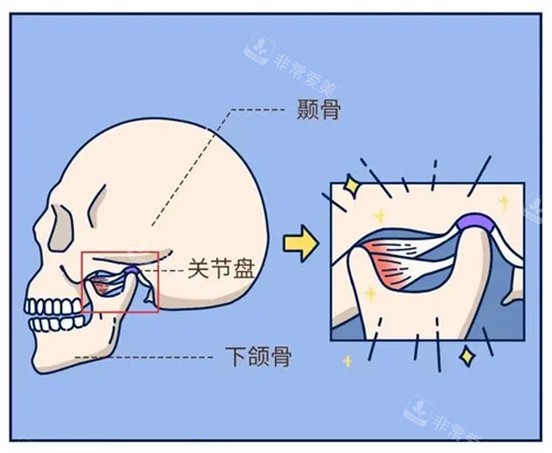 颞骨位置图片