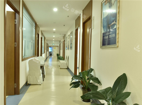 蘇州圣愛(ài)醫(yī)療美容走廊 蘇州圣愛(ài)醫(yī)療美容走廊