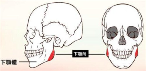 下頜角 下頜角