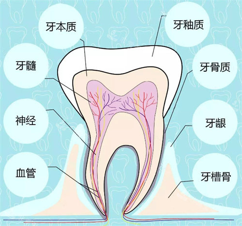 千万别给孩子矫正牙齿？看完你就知道了！