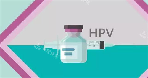 hpv注射疫苗动画演示图