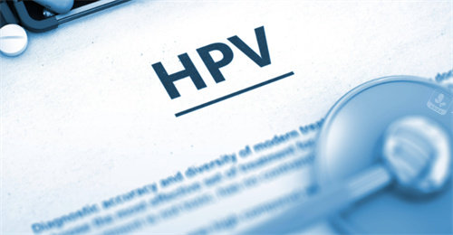 hpv疫苗講解書 hpv疫苗講解書