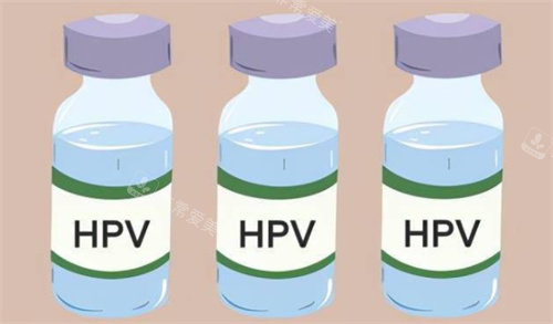 hpv疫苗动画图