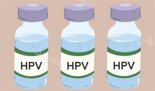 hpv疫苗動畫圖 hpv疫苗動畫圖