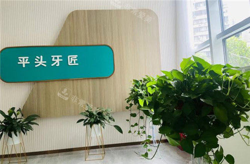 平头牙匠口腔环境图 平头牙匠口腔环境图