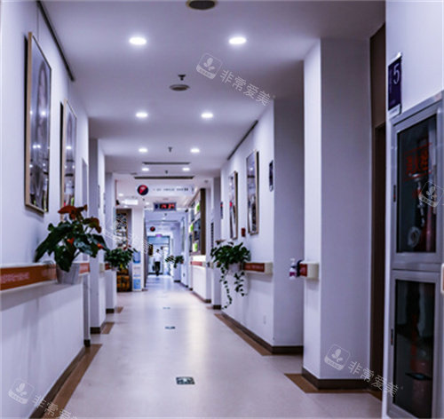麗都走廊 麗都走廊