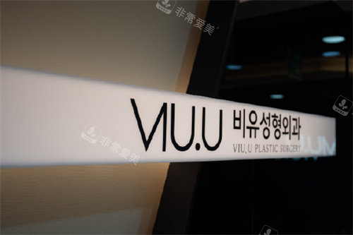 韩国VIU.U整形医院logo