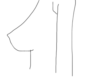 胸部素描圖 胸部素描圖