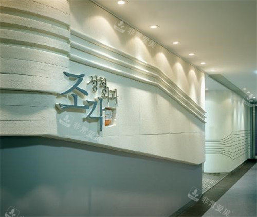 韩国雕刻整形logo墙