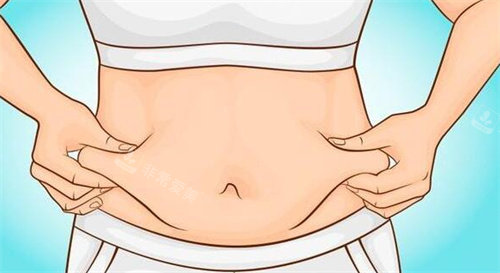 腹部脂肪动画图