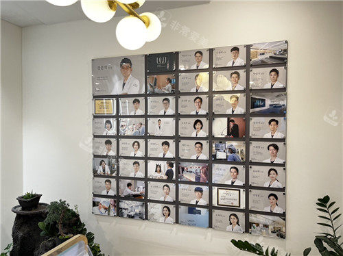 韓國wj原辰整形展示墻 韓國wj原辰整形展示墻