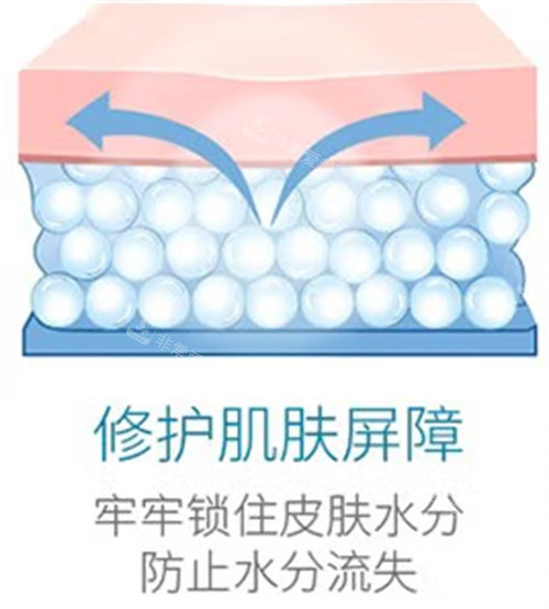 維C的修護(hù)作用 維C的修護(hù)作用