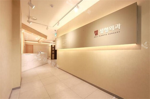 韓國zell整形醫(yī)院前臺 韓國zell整形醫(yī)院前臺