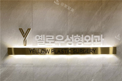 韩国yellow整形外科logo