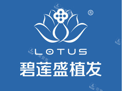 碧莲盛植发logo