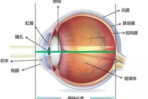 近视图