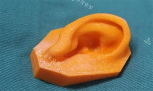 3D打印模型耳朵圖 3D打印模型耳朵圖