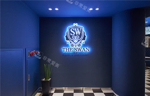 韩国THe Swan整形logo墙