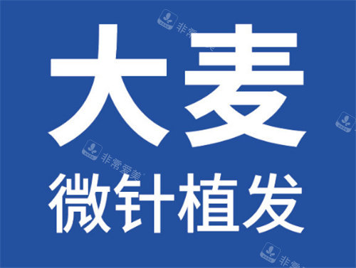 大麦微针植发logo