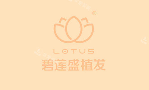 碧莲盛植发logo