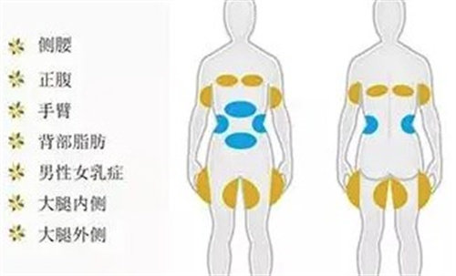 酷塑冷冻溶脂的部位