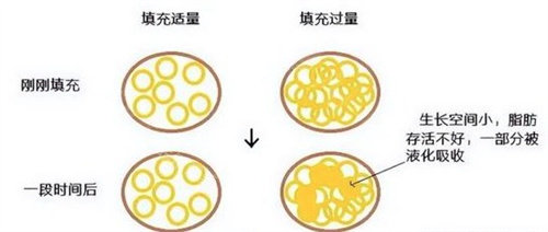 填充细胞适量和过量的区别