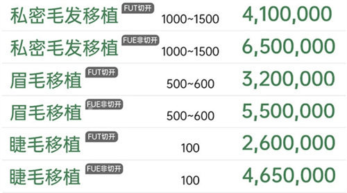 布萊克醫(yī)院私密毛發(fā)種植價格