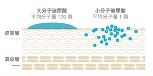 玻尿酸大小分子的区别