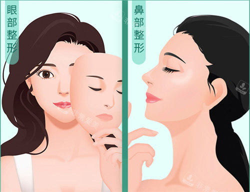 眼鼻整形动画图示
