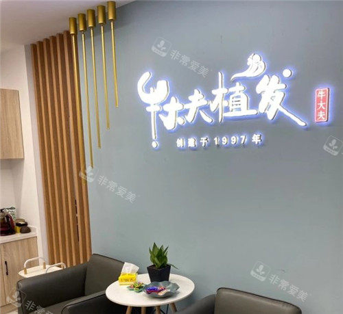 沈阳牛大夫植发logo墙