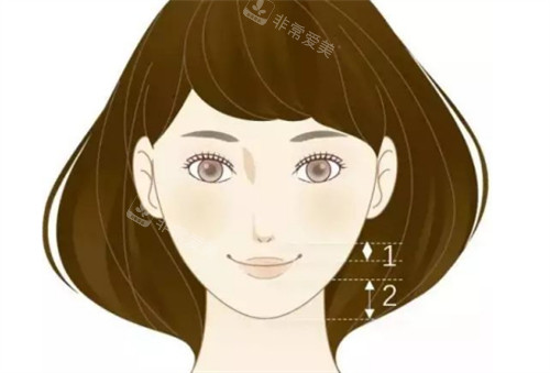 正常的人中比例 正常的人中比例