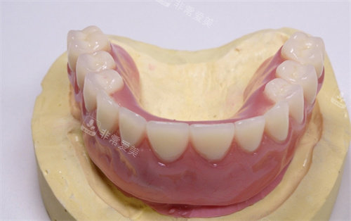 口腔模型圖
