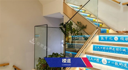 信陽眾大口腔樓道 信陽眾大口腔樓道