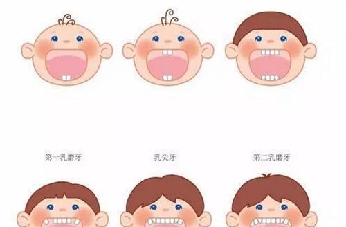 兒童牙齒問題 兒童牙齒問題