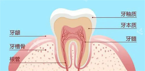 北京臻望口腔诊所怎么样?正规靠谱吗?可以用医保吗?