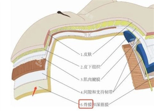 注射层次