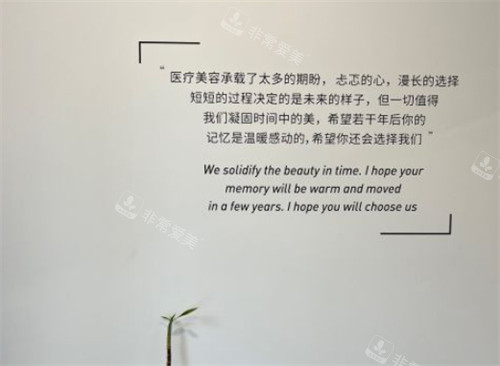 青島波羅蜜醫(yī)療美容寄語墻圖片