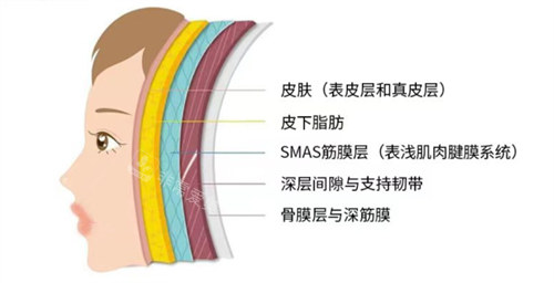 杜太超拉皮手术价格贵吗?收费不贵,小切口3W起大部位5W起!