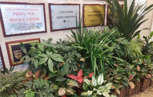 呼和浩特京美整形榮譽墻環(huán)境圖