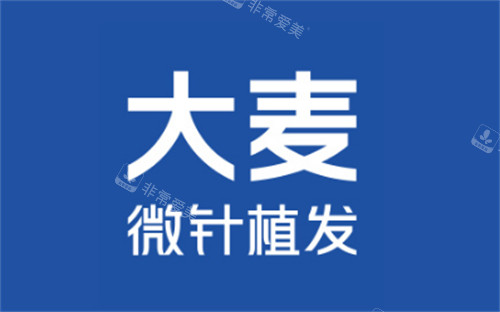 大麦植发logo图片