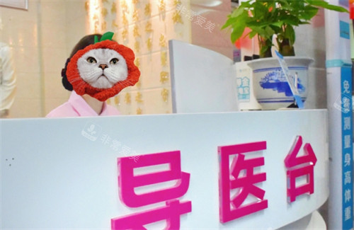 成都金牛真愛導診臺 成都金牛真愛導診臺