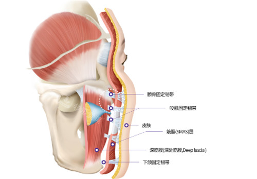 北京小美微针轻医美怎么样?注射填充/激光仪器抗衰都做得非常好且有名!