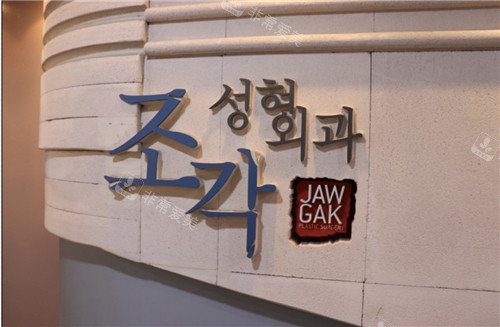 韓國雕刻整形logo 韓國雕刻整形logo