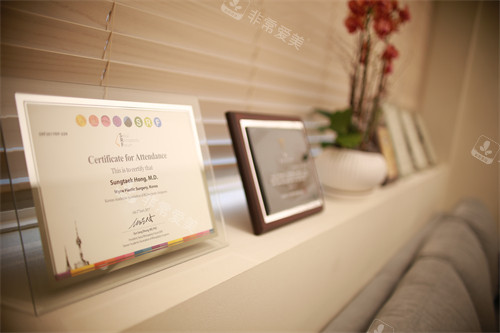 韩国merry整形外科荣誉证书图片