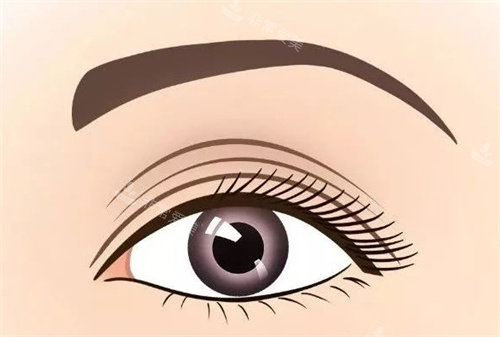 双眼皮动画图