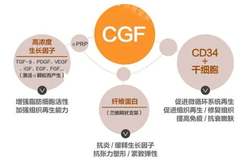 CGF制作流程图
