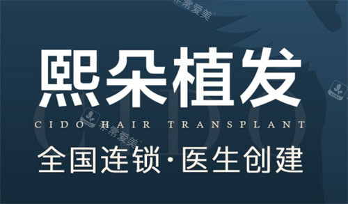 熙朵植发logo