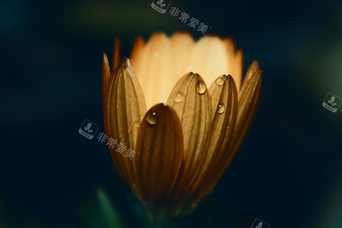 縮陰手術(shù)常見方式有哪些