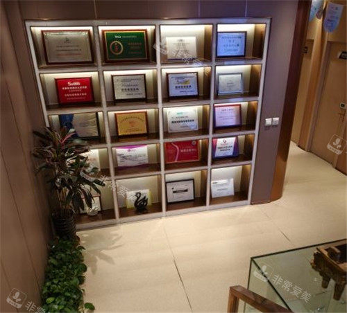 沈阳悦美格整形展示区